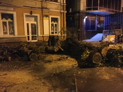 Прикрепленное изображение: IMG_1310.JPG